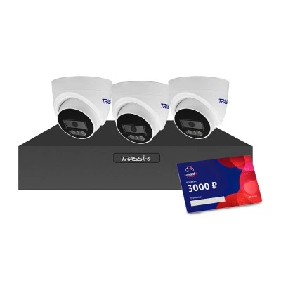 TRASSIR TR-Lite 1106 + TR-Lite L2S5 + Cloud 3000 Комплект видеонаблюдения TRASSIR TR-Lite 1106 + TR-Lite L2S5 + Cloud 3000 Комплект видеонаблюдения