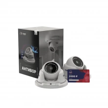 «Антивор»: комплект облачного видеонаблюдения 2-D2S5Cloud2000